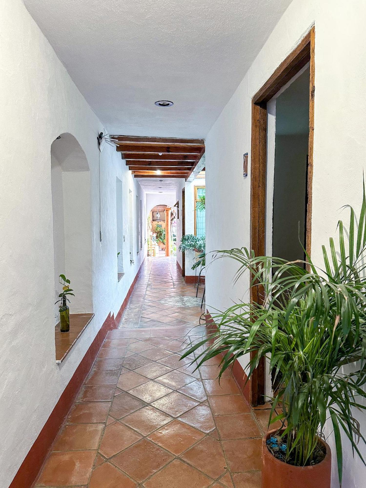 El Palomar * Pátzcuaro